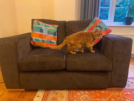 Photo of free 2 sofas & a footstool (Maidenhead SL6) #3