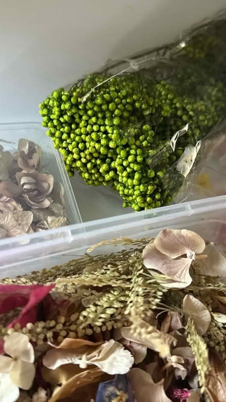 Photo of free Real dried flowers lot (AL4) #4