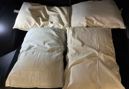 Photo of free Four bed pillows (North Berkeley) #1