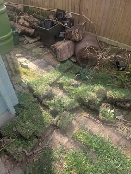 Photo of free Turf (CT1) #1