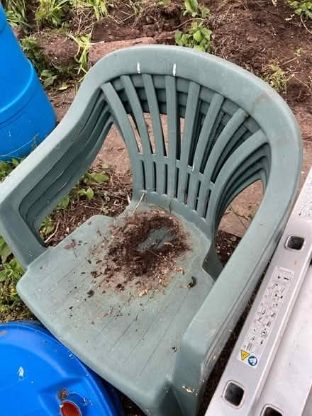 Photo of free 6 green plastic chairs (Chaddesden DE21) #1