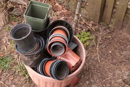 Photo of free Loads of plant pots, of different sizes (Burnbanks CA10) #1