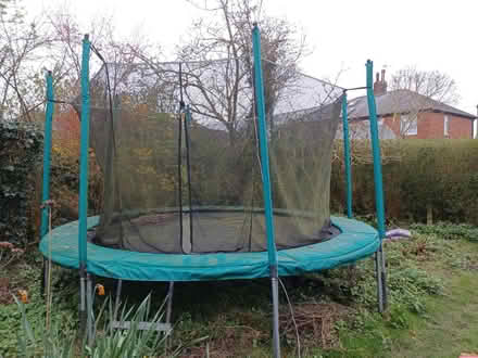 Photo of free Trampoline (Heworth. YO31) #1
