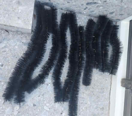 Photo of free Gutter Guard Brushes (Orakei) #1