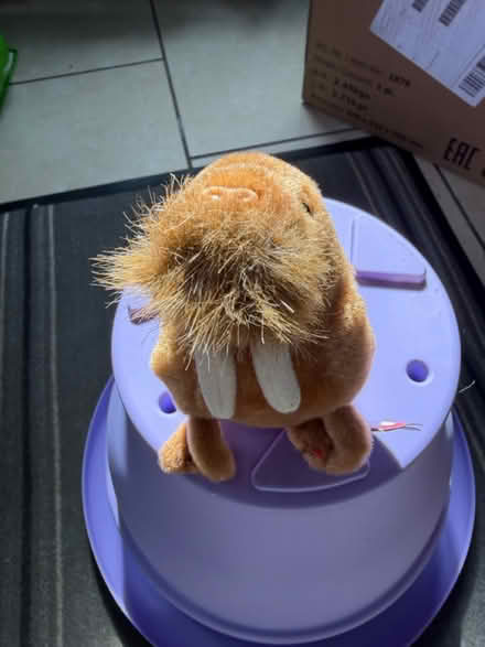 Photo of free TY Wakrus (Westbury Wilts BA13) #2