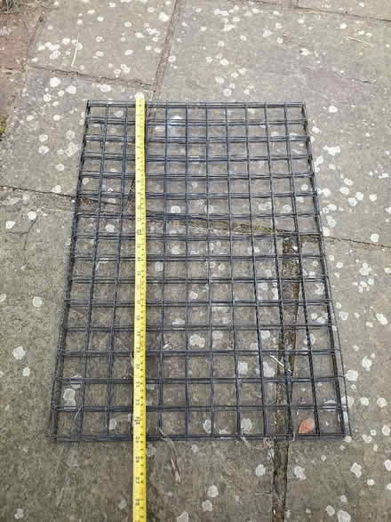 Photo of free 4 wire mesh greenhouse shelves (Dyke Road area BN1) #2