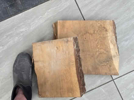 Photo of free Oak (Chester CH1) #2