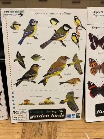 Photo of free Laminated fold out birds, bats and butterflies pamphlets (Dursley GL11) #1