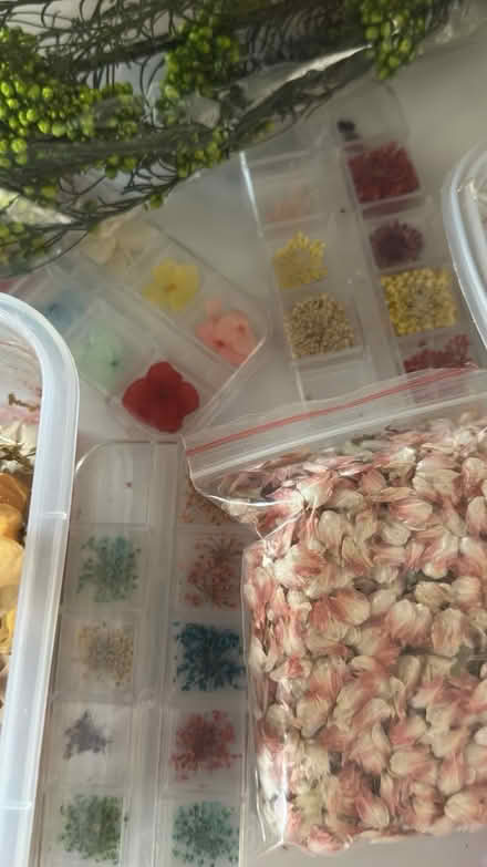 Photo of free Real dried flowers lot (AL4) #3