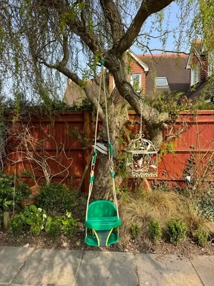 Photo of free Small Child’s swing from tree (Holyport SL6) #2