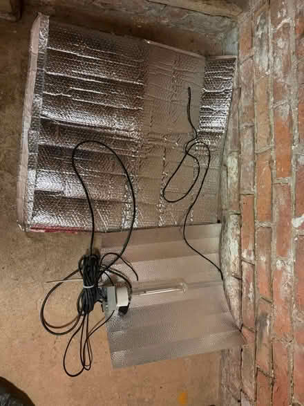 Photo of free Growing light (M21 Chorlton) #1