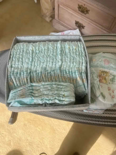 Photo of free Baby nappies (Blacklands TN34) #1