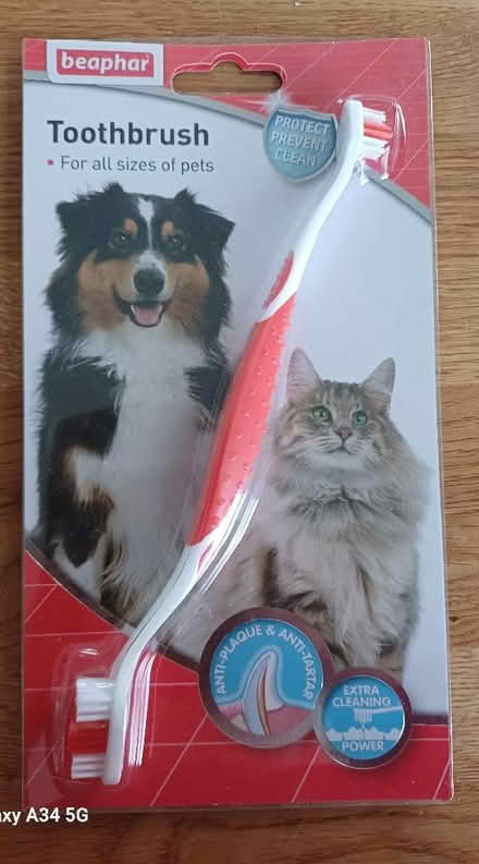 Photo of free Cat or Dog toothbrush 🪥 (Chichester PO19) #1