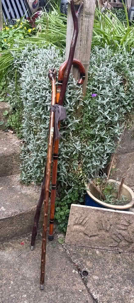 Photo of free 3 x proper wooden walking sticks (GL5) #1