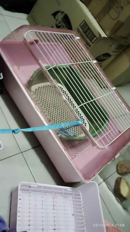 Photo of free Used Rabbit / Cat Cage and Others (Puchong) #2