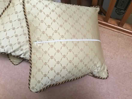 Photo of free Cushions (Honiton central) #3