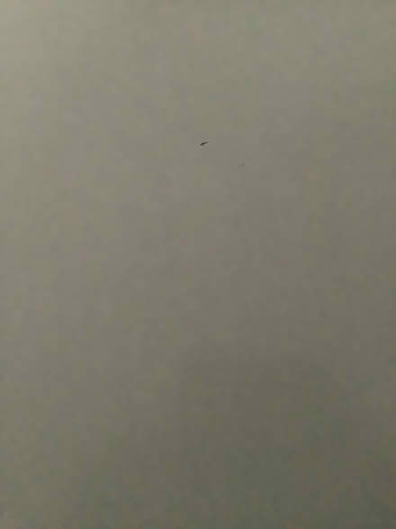 Photo of free Dining table (Newington Green N1) #4