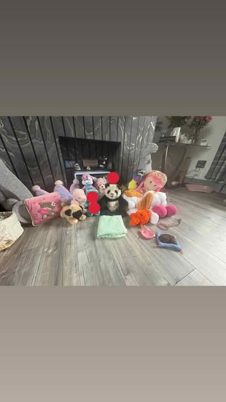 Photo of free Soft toys (Felling NE10) #1