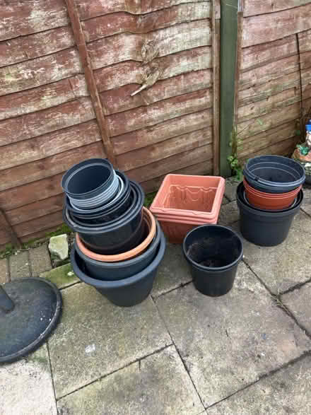Photo of free Assorted plant pot (Brixham) #1
