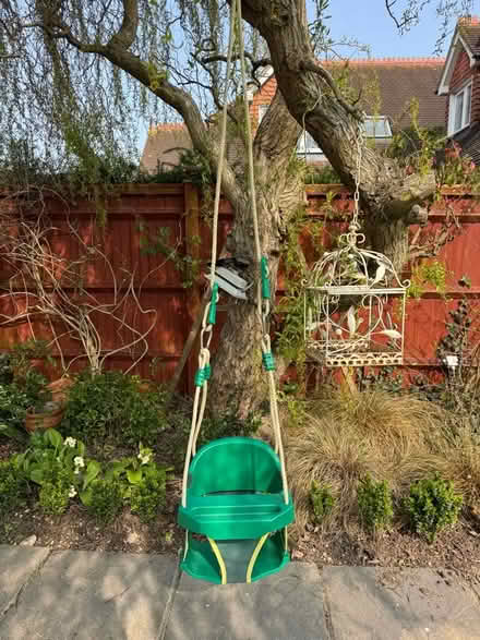 Photo of free Small Child’s swing from tree (Holyport SL6) #3