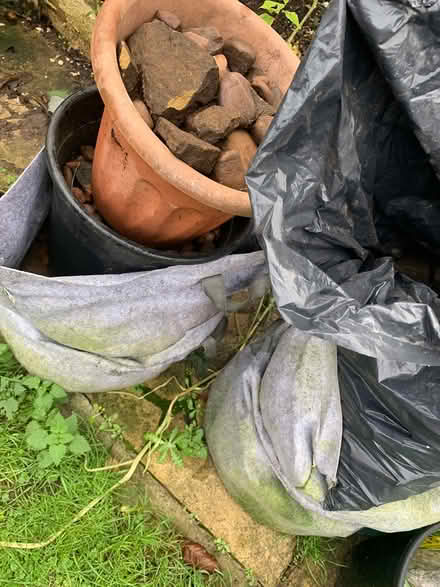 Photo of free Garden rockery (Greatbarr, B42) #3