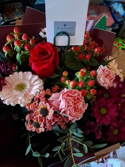 Photo of Wanterd Hege strimmer (Meole Brace SY3) #1