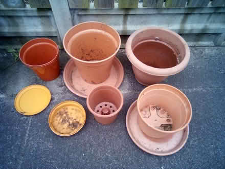 Photo of free Assorted Plastic Pots and Trays (St Austell) #1