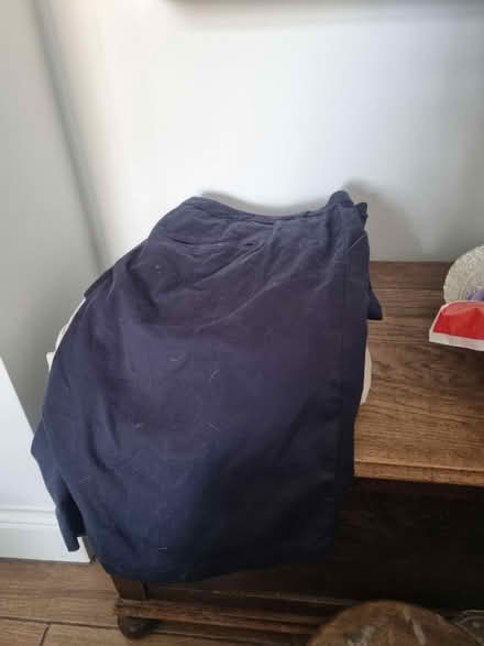 Photo of free Mens Shorts (DA2) #2