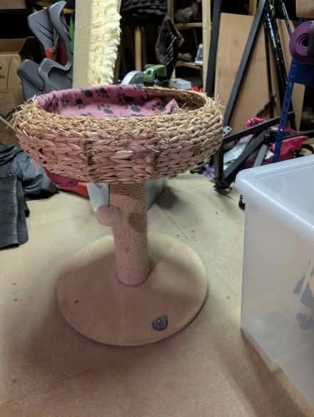 Photo of free Cat tree (Didcot OX11) #1