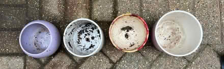Photo of free Small pots (Earley RG6) #2