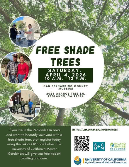 Photo of free Shade Trees in Redlands (San Bernardino County Museum) #1