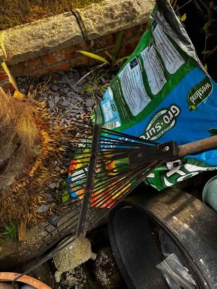 Photo of free Various things for home and garden. Hazel sapling. (Sherwood TN2) #4