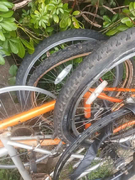 Photo of free Raleigh and trax frames and wheels and tyres (Bedmond WD5) #3