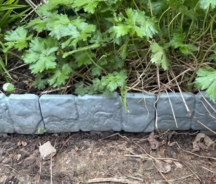Photo of free Plastic edging for pathway (Royal Leamington Spa CV31) #1
