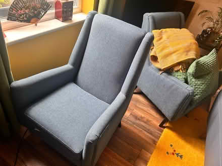 Photo of free To collect as soon as possible (Old swan) #4