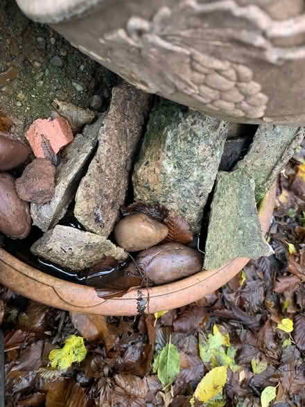 Photo of free Garden rockery (Greatbarr, B42) #1