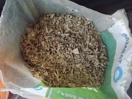 Photo of free sawdust/wood shavings (West Meads Bognor PO21) #1