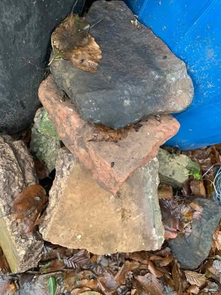 Photo of free Garden rockery (Greatbarr, B42) #4