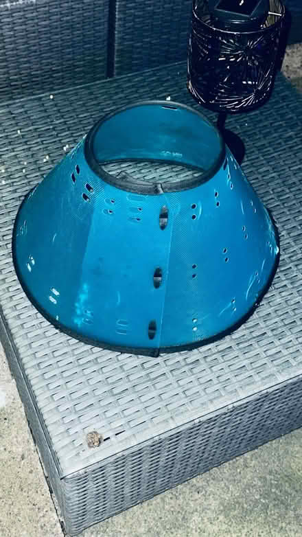 Photo of free 2 x dog cones (Weston super mare) #1