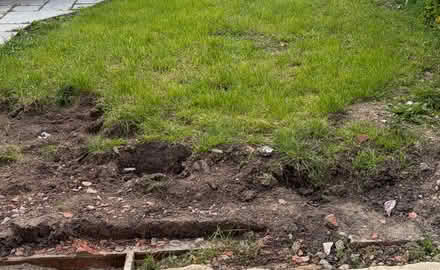 Photo of free Clean Soil/earth and grass (Cheshunt EN8) #2