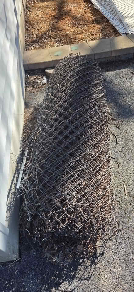 Photo of free Chain link fencing (Warrenville, herrick rd) #1