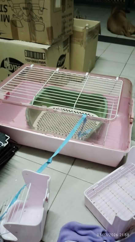 Photo of free Used Rabbit / Cat Cage and Others (Puchong) #1