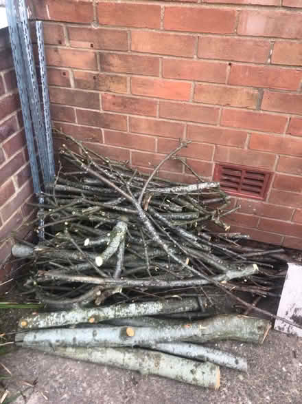 Photo of free Fire wood/ logs (NP44 1QQ) #1