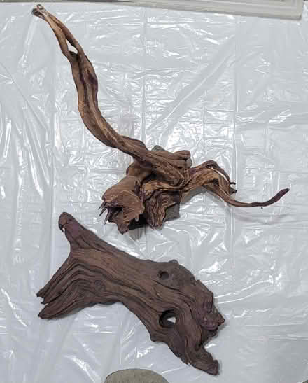 Photo of free 2pcs aquarium weighted driftwood (Broadview/Gerrard) #2