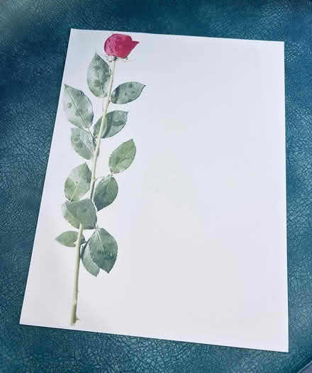 Photo of free Beautiful Rose Stationary (Erin Mills) #1