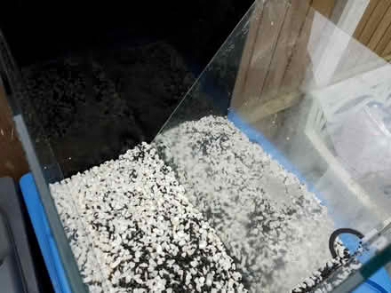 Photo of free Fish tank (Chaddesden DE21) #3