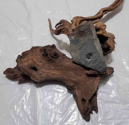 Photo of free 2pcs aquarium weighted driftwood (Broadview/Gerrard) #3