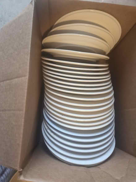 Photo of free dinner plates (King city OR) #1