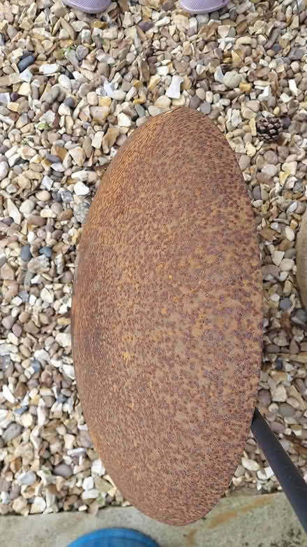 Photo of free Water holder (Sheffield S12) #3