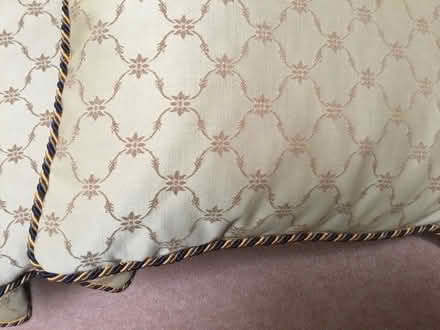 Photo of free Cushions (Honiton central) #2